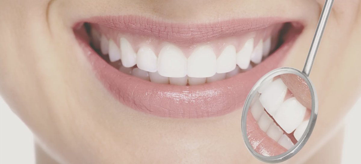 DHCA Excellence Award 2019 - Dr. Emmanuelle Lerat recognized for dedication and volunteerism